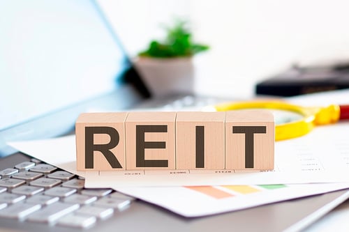 REIT-1